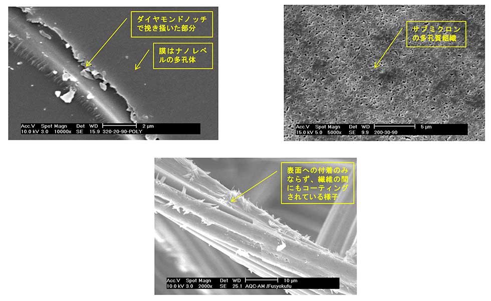 緑のちから Cコーティング膜のSEM写真